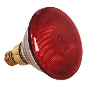 Warmtelamp 175W glas (rood) EMGA EMG 93500