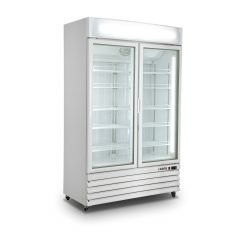Koelkast Met 2 Glasdeuren Model G 885 Saro 453-10081